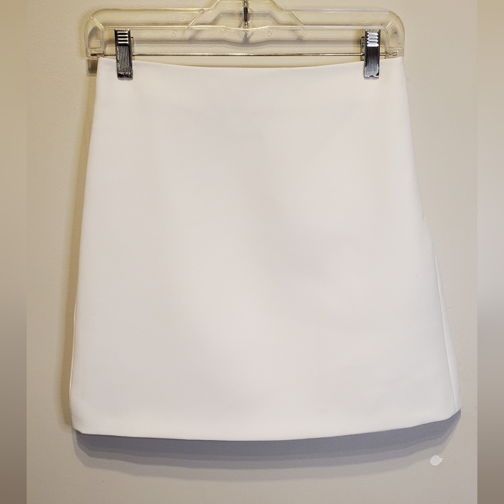 317 NWOT - ZARA Elegant Skirt